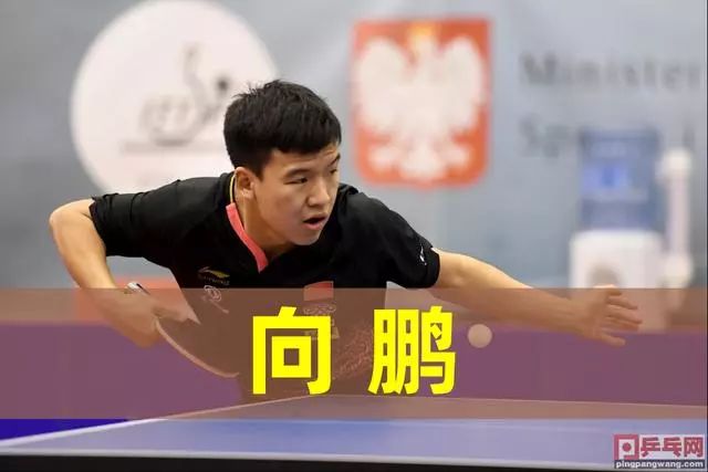 让每个人都 让每个人都