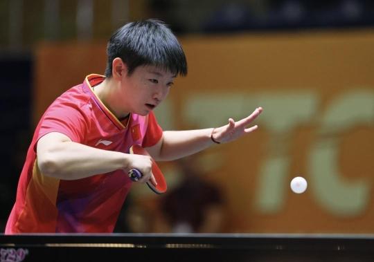 同样稳固 同样稳固