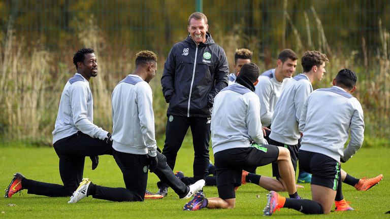 逐步蚕食科 逐步蚕食科