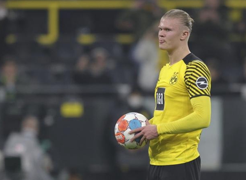 若对手快翼 若对手快翼